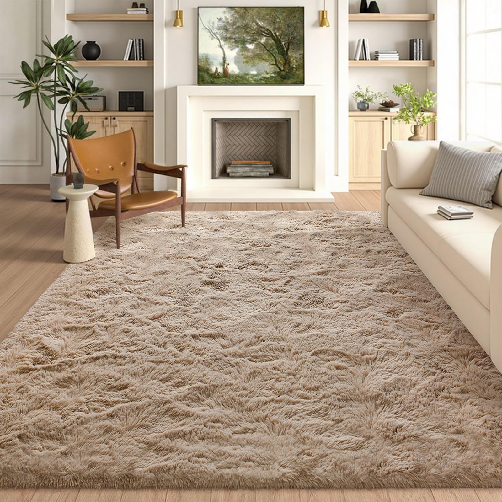 5×7ft Grey Fluffy Tie-Dyed Rug, Soft Shag Carpet for Home Decor