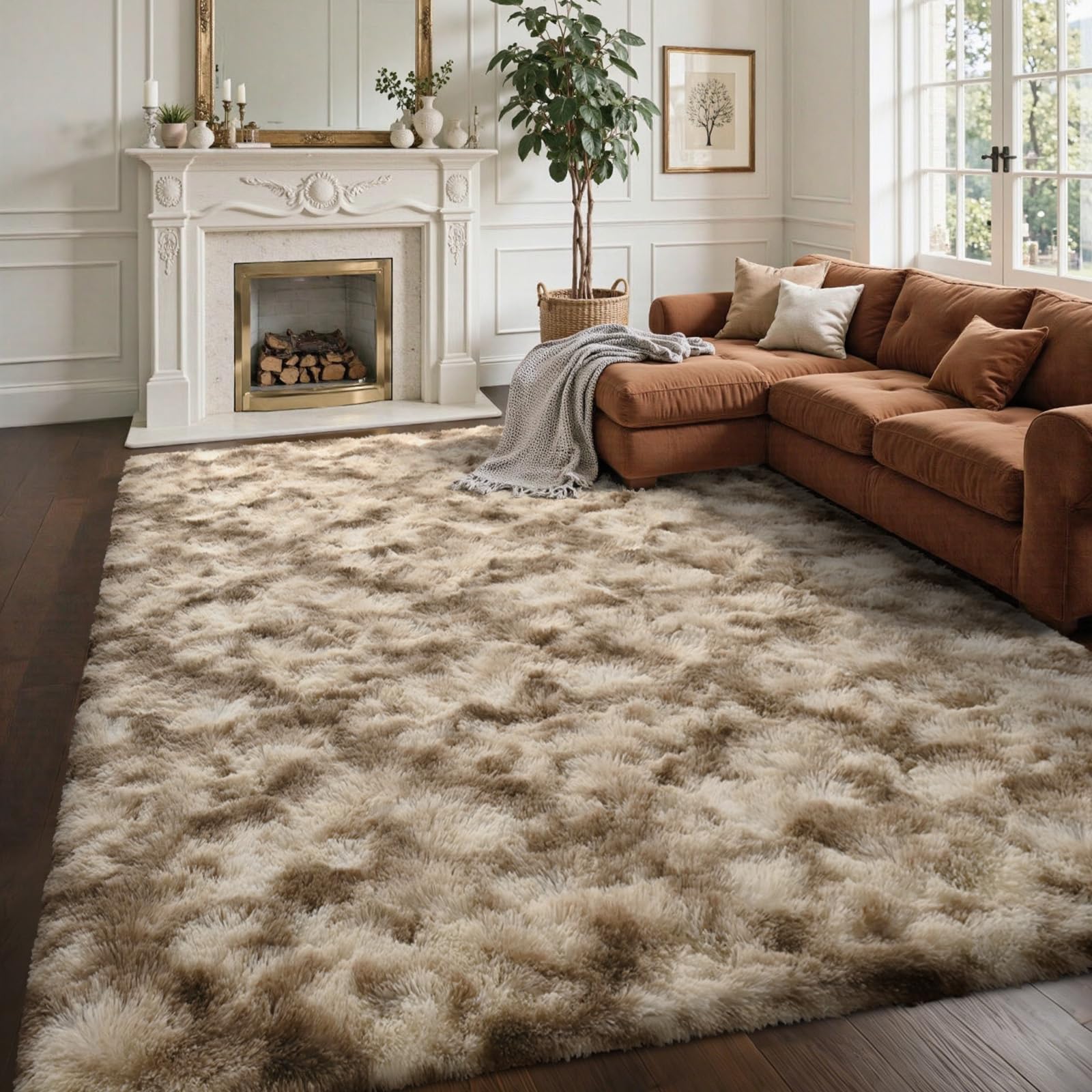 5×7ft Grey Fluffy Tie-Dyed Rug, Soft Shag Carpet for Home Decor