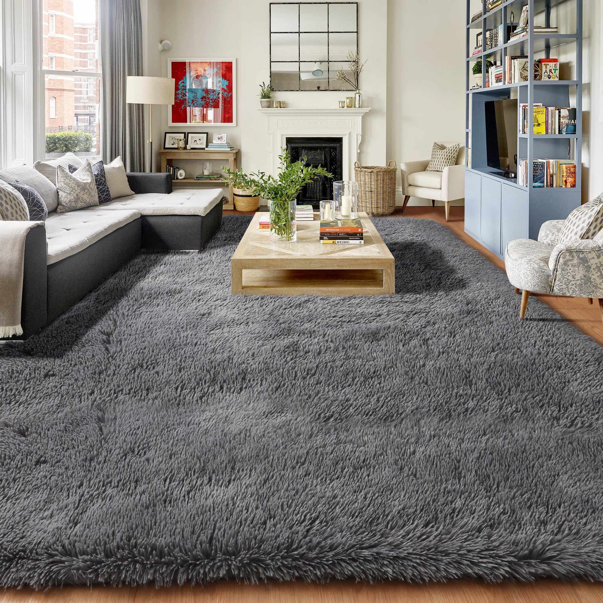 PAGISOFE Abstract Soft Shaggy Rugs for Living Room 5x8 Ft,Tie-Dyed Grey Fluffy Rugs for Kids Room Furry Carpets for Bedroom Room Decor Aesthetic Large Shag Carpet for Boys Girls Dorm Nursery